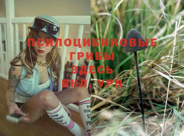 прущая мука Алзамай