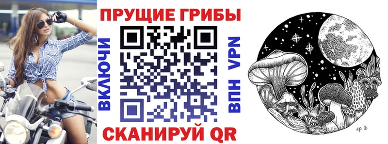 Галлюциногенные грибы ЛСД  Пущино 